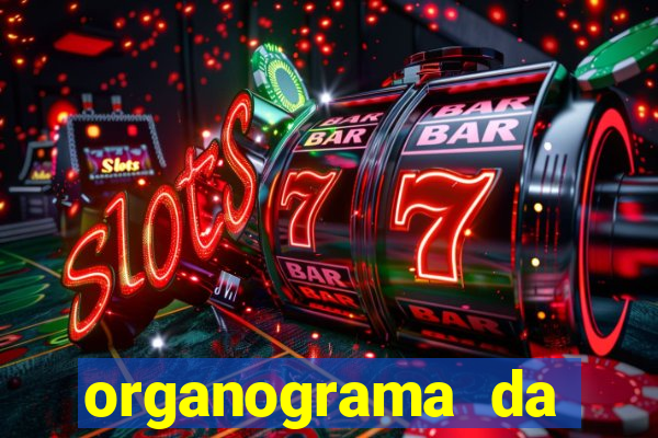 organograma da cacau show